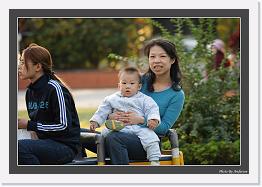 IMG_0226 * 800 x 553 * (249KB)