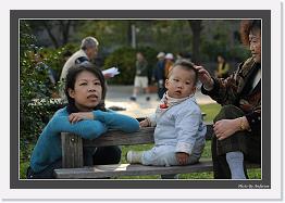 IMG_0287 * 800 x 553 * (219KB)