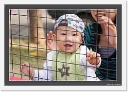 IMG_0683 * 850 x 591 * (247KB)