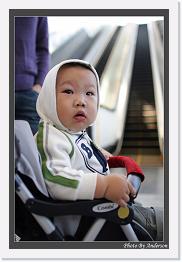 IMG_1621 * 608 x 908 * (233KB)