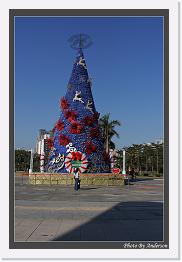 IMG_1627 * 608 x 908 * (246KB)