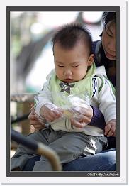 IMG_1707 * 608 x 908 * (223KB)