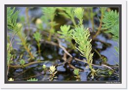 IMG_1867 * 892 x 608 * (232KB)