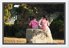 IMG_2138 * 892 x 608 * (234KB)