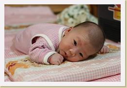 IMG_0832 * 1024 x 683 * (571KB)