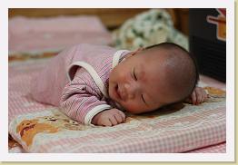 IMG_0834 * 1024 x 683 * (573KB)