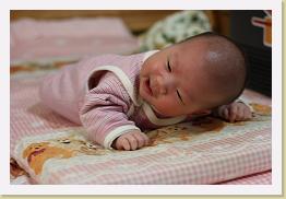 IMG_0836 * 1024 x 683 * (550KB)