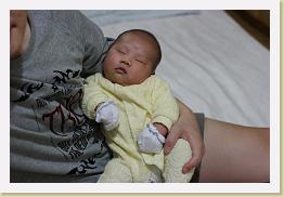 IMG_0919 * 1024 x 683 * (587KB)