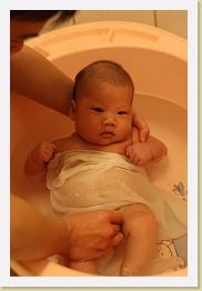 IMG_0976 * 683 x 1024 * (514KB)