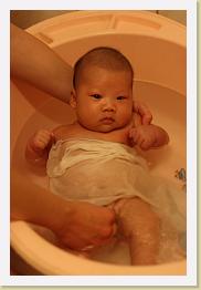 IMG_0981 * 683 x 1024 * (523KB)