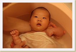 IMG_0999 * 1024 x 683 * (533KB)