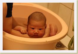 IMG_1013 * 1024 x 683 * (524KB)