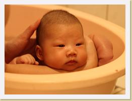 IMG_1023 * 911 x 683 * (498KB)