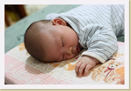 IMG_1154 * 1024 x 683 * (548KB)