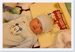 IMG_1442 * 1024 x 683 * (650KB)