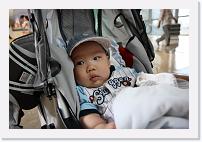 IMG_3462 * 1024 x 683 * (456KB)
