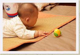 IMG_5333 * 1024 x 683 * (245KB)