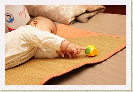 IMG_5334 * 1024 x 683 * (262KB)
