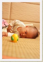 IMG_5338 * 683 x 1024 * (199KB)