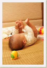 IMG_5340 * 683 x 1024 * (225KB)
