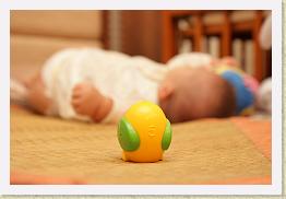 IMG_5348 * 1024 x 683 * (181KB)