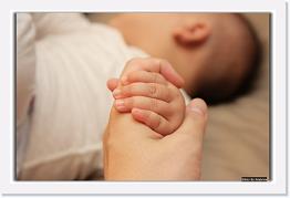 IMG_6596 * 1024 x 671 * (86KB)