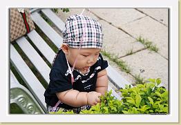 IMG_6775 * 1076 x 713 * (193KB)