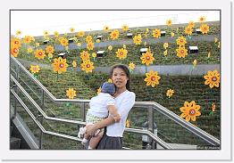 IMG_6898 * 1024 x 690 * (200KB)