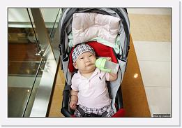IMG_7798 * 1000 x 674 * (193KB)