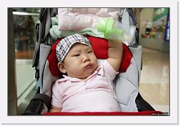 IMG_7802 * 1000 x 674 * (193KB)