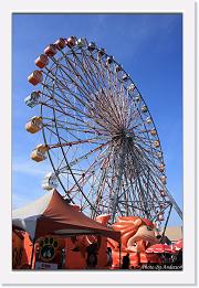 IMG_7859 * 659 x 1000 * (195KB)