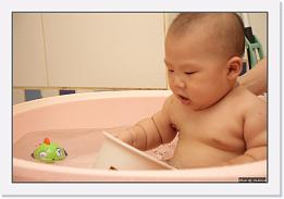 IMG_7974 * 1000 x 674 * (170KB)