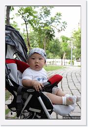 IMG_8218 * 659 x 1000 * (196KB)