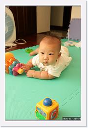 IMG_8389 * 659 x 1000 * (197KB)