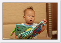 IMG_8652 * 1000 x 674 * (194KB)