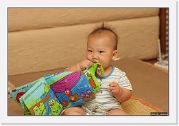 IMG_8732 * 1000 x 674 * (194KB)