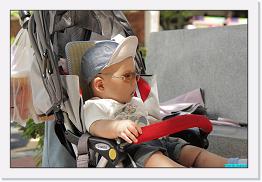 IMG_9397 * 900 x 603 * (199KB)