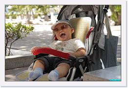 IMG_9398 * 900 x 603 * (196KB)