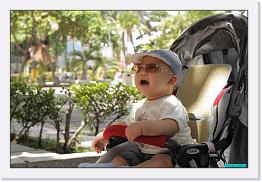 IMG_9415 * 900 x 603 * (190KB)