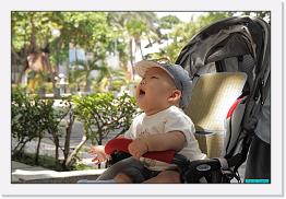 IMG_9417 * 900 x 603 * (192KB)