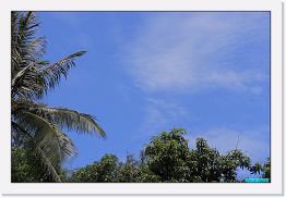 IMG_9494 * 900 x 603 * (190KB)