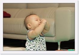 IMG_9681 * 900 x 603 * (196KB)