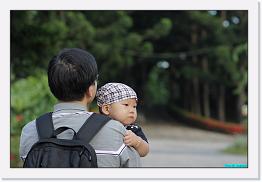 IMG_9987 * 900 x 603 * (181KB)