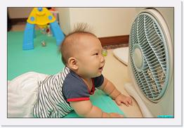 IMG_9817 * 900 x 603 * (198KB)