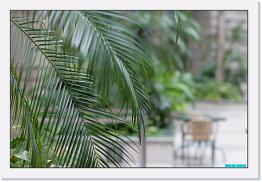 IMG_0639 * 900 x 603 * (188KB)