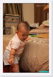 IMG_0148 * 595 x 900 * (188KB)