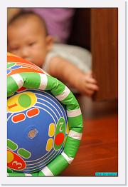 IMG_3448 * 596 x 900 * (188KB)