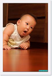IMG_3462 * 596 x 900 * (172KB)