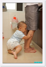 IMG_1001 * 595 x 900 * (218KB)