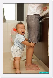 IMG_1004 * 595 x 900 * (211KB)